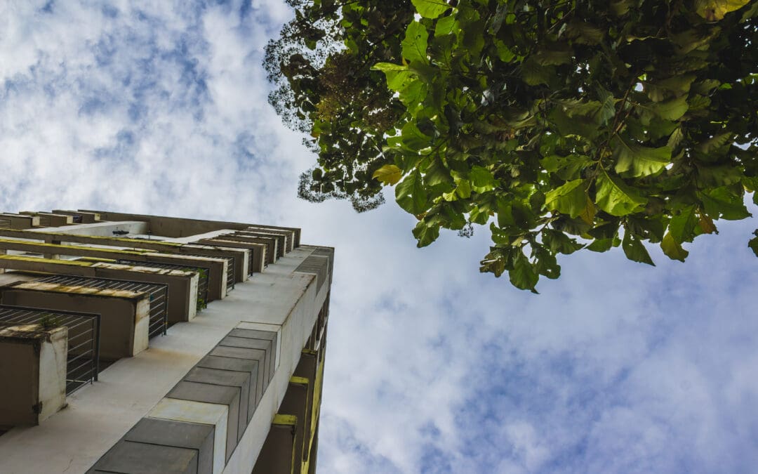 Circulair bouwen Het Nieuwe Normaal – Samen versnellen!