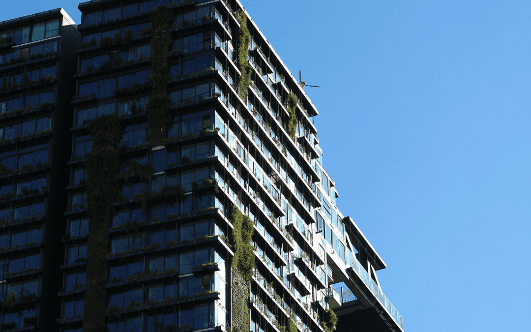 ESG: van verplichting naar voorsprong